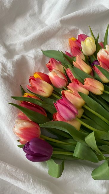 A bouquet of fresh tulips arranged on a soft, white fabric background. The bouquet features tulips in shades of pink, yellow, cream, and deep purple, with vibrant green leaves and stems. The flowers a