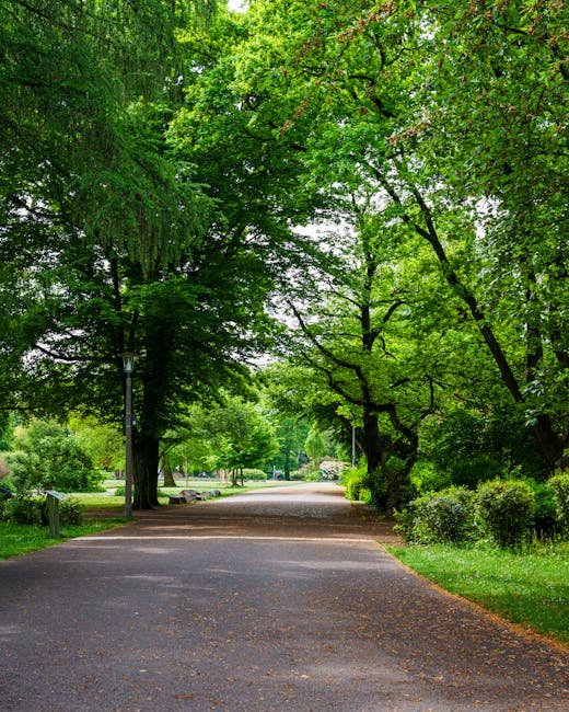 The image shows a tranquil park pathway surrounded by lush, vibrant green trees with dense foliage, creating a canopy over the asphalt path. Sunlight filters through the leaves, casting dappled shadow