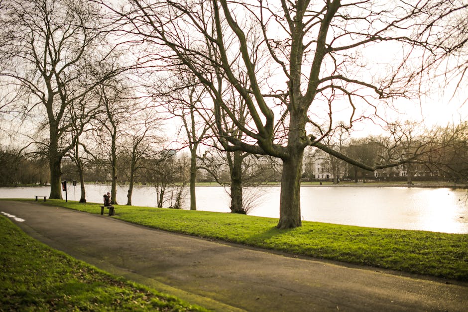 A scenic view of Wimbledon Park with a paved walking path running alongside a calm lake, edged by green grass and leafless trees with twisting branches. In the background, a person is sitting on a ben