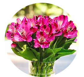 Same day Flowers Southfields